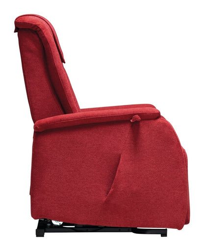 Fauteuil releveur BORAS - coloris Aspect cuir noir - vue d'ensemble | Hygiena Santé