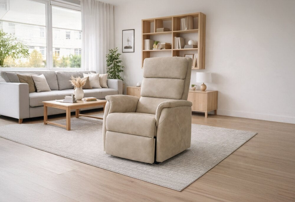 Fauteuil Releveur HOLEN — 2 Moteurs Design Épuré