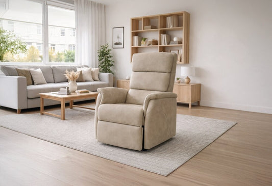 Fauteuil Releveur HOLEN — 2 Moteurs Design Épuré